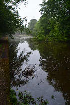 Picture: damPU04 d1