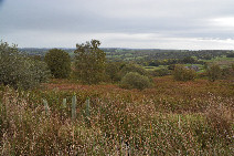 Picture: ST01 1