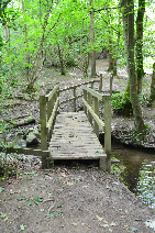 Picture: ST06 4